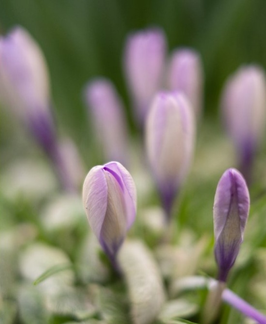 Quellenabend für Pflegekräfte