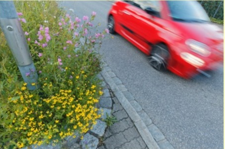 Vernissage: Grün oder Grau in der Stadt