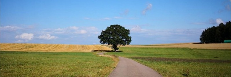 Neuer Kurs: Mindfulness-Based-Stress-Reduction (MBSR)